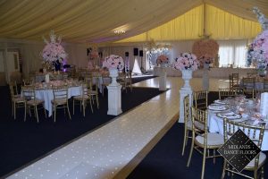 Led Dance Floor with Walkway